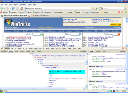 Firebug in action Firebug